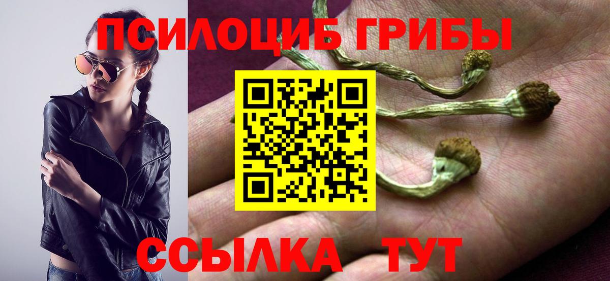 Галлюциногенные грибы мухоморы Ессентуки