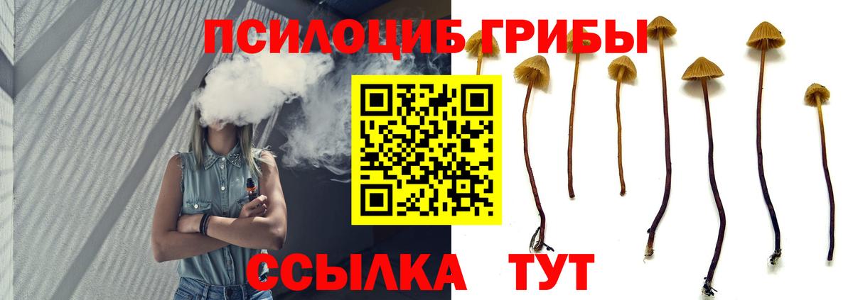 Псилоцибиновые грибы мицелий  Вход с VPN  Ессентуки 